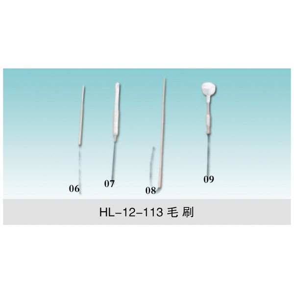 HL-12-113 實(shí)驗(yàn)室專(zhuān)用毛刷