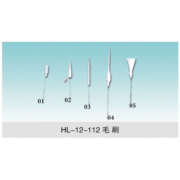 HL-12-112 實(shí)驗室專用毛刷